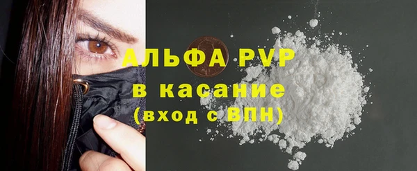 амф Верея