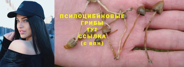 амф Верея