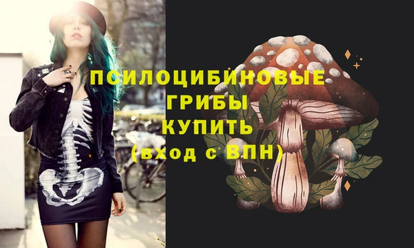 амф Верея