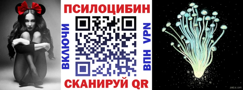 закладки Ноябрьск Псилоцибиновые грибы Magic Shrooms