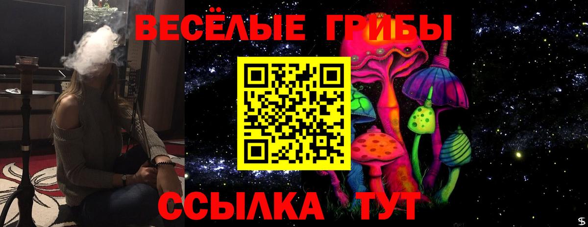 Галлюциногенные грибы мицелий Ноябрьск